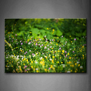 Yellow And Purple Flower In Green Grass Wall Art Painting Pictures Print On Canvas Botanical The Picture For Home Modern Decoration 