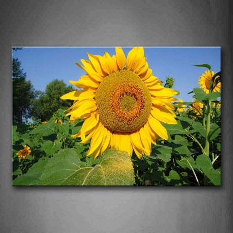 Yellow Orange Sunflower With Big Leaves Smile Under The Sun  Wall Art Painting The Picture Print On Canvas Flower Pictures For Home Decor Decoration Gift 