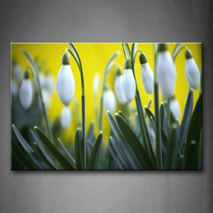 Yellow Orange Bunch Of Plants With White Flowers Like Lamp Posts Wall Art Painting The Picture Print On Canvas Flower Pictures For Home Decor Decoration Gift 