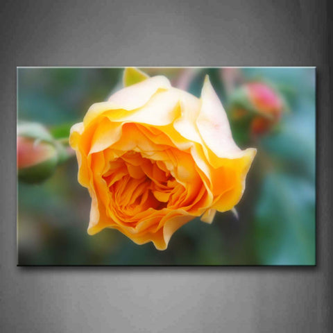 Yellow Orange Rose In Orange Is Blossoming Wall Art Painting Pictures Print On Canvas Flower The Picture For Home Modern Decoration 