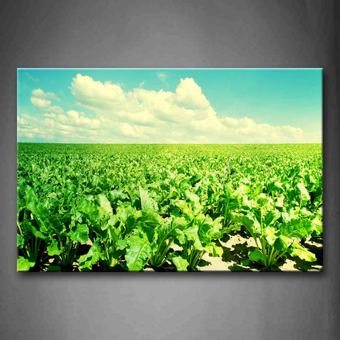 Wide Green Flat Field Wall Art Painting Pictures Print On Canvas Botanical The Picture For Home Modern Decoration 