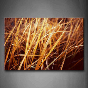 Yellow Grass Portrait Wall Art Painting Pictures Print On Canvas Botanical The Picture For Home Modern Decoration 