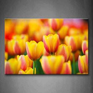 Yellow Orange Many Tulips Wall Art Painting Pictures Print On Canvas Flower The Picture For Home Modern Decoration 