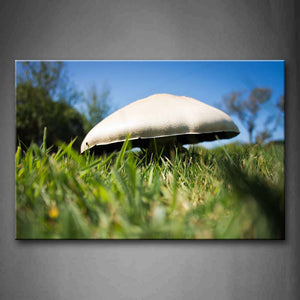 White And Huge Mushroom On Grass Wall Art Painting The Picture Print On Canvas Landscape Pictures For Home Decor Decoration Gift 