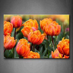 Yellow Orange Tulips In Orange Wall Art Painting Pictures Print On Canvas Flower The Picture For Home Modern Decoration 