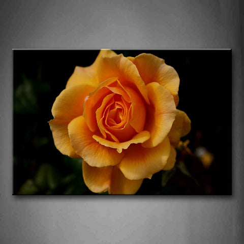 Yellow Orange An Orange Rose  Wall Art Painting Pictures Print On Canvas Flower The Picture For Home Modern Decoration 
