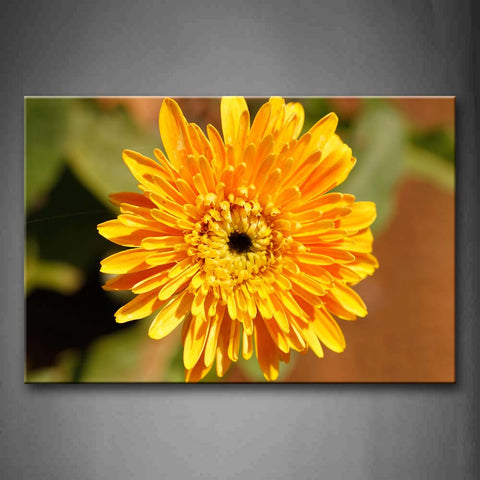 Yellow Orange Chrysanthemum In Yelllow Wall Art Painting Pictures Print On Canvas Flower The Picture For Home Modern Decoration 