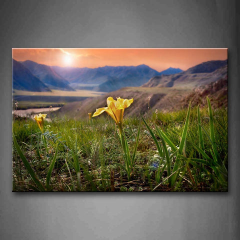 Yellow Flower And Sunbeam Wall Art Painting Pictures Print On Canvas Botanical The Picture For Home Modern Decoration 