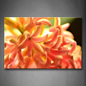 Yellow Orange Pretty Pink Flowers  Wall Art Painting Pictures Print On Canvas Flower The Picture For Home Modern Decoration 