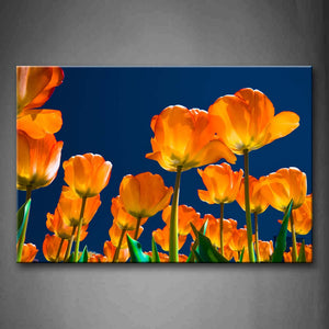 Yellow Orange Orange Flower Field Under Blue Sky Wall Art Painting Pictures Print On Canvas Flower The Picture For Home Modern Decoration 