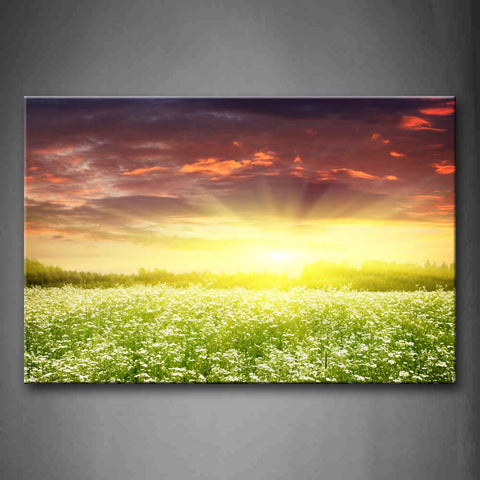 White Flower Field At Sunset Wall Art Painting Pictures Print On Canvas Landscape The Picture For Home Modern Decoration 