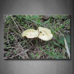 Yellow Mushroom Grow In Grass Wall Art Painting The Picture Print On Canvas Botanical Pictures For Home Decor Decoration Gift 
