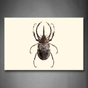 White Background A Insect Wall Art Painting Pictures Print On Canvas Abstract The Picture For Home Modern Decoration 