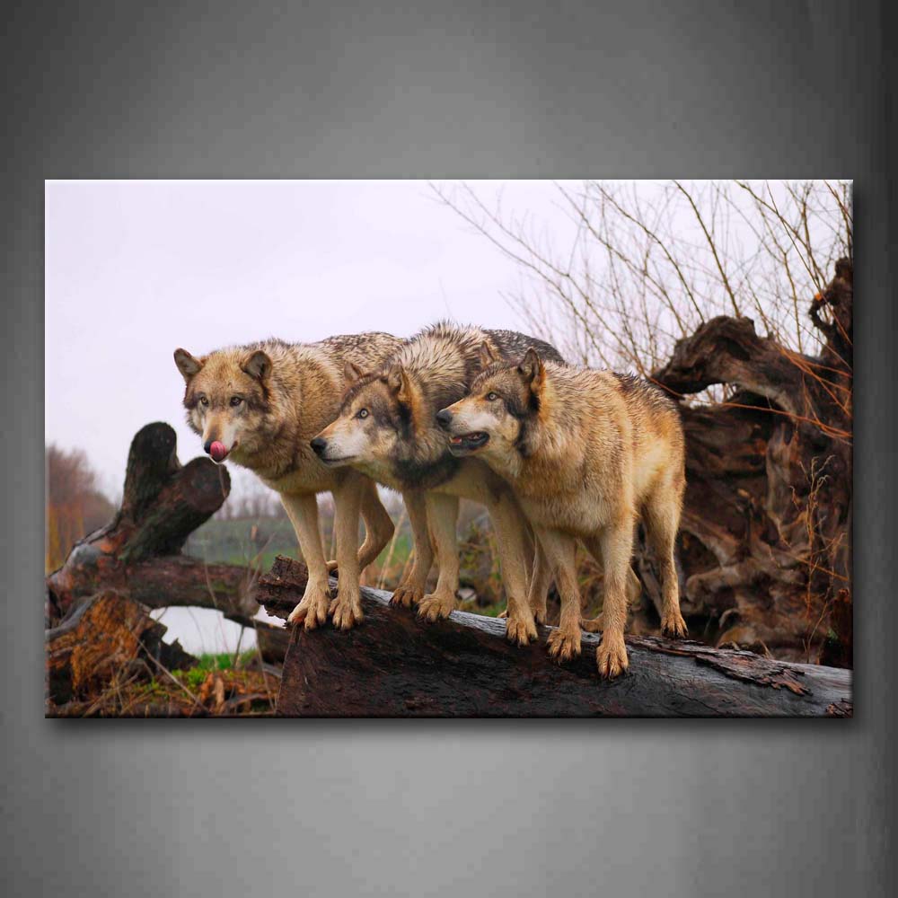 Three Wolfs Stand On Dry Wood Wall Art Painting The Picture Print On Canvas Animal Pictures For Home Decor Decoration Gift 