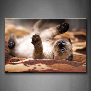 Cat Lie On Cloth Wall Art Painting Pictures Print On Canvas Animal The Picture For Home Modern Decoration 