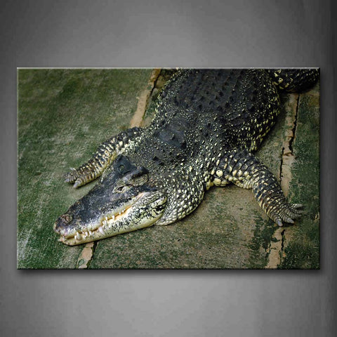 Crocodile Lying On Front Wood Resting Wall Art Painting The Picture Print On Canvas Animal Pictures For Home Decor Decoration Gift 