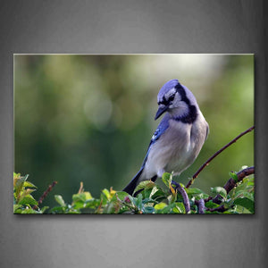 Bird Stand On Branch Wall Art Painting The Picture Print On Canvas Animal Pictures For Home Decor Decoration Gift 