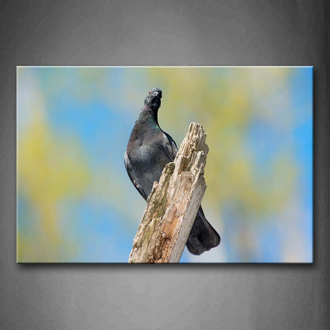 Pigeon Stand On Dry Wood Wall Art Painting Pictures Print On Canvas Animal The Picture For Home Modern Decoration 