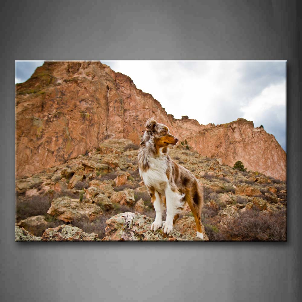 Dog Look Back Standing On Stone Hill Wall Art Painting The Picture Print On Canvas Animal Pictures For Home Decor Decoration Gift 