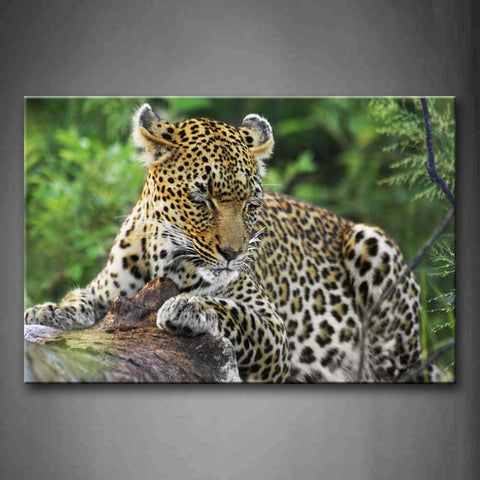 Leopard Lie On Tree Wall Art Painting The Picture Print On Canvas Animal Pictures For Home Decor Decoration Gift 