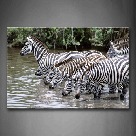 Zebras Stand In River And Drinking Water Wall Art Painting Pictures Print On Canvas Animal The Picture For Home Modern Decoration 