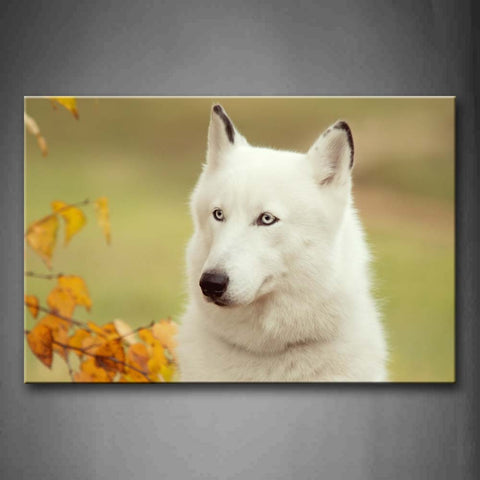 White Dog  Yellow Leafs Wall Art Painting The Picture Print On Canvas Animal Pictures For Home Decor Decoration Gift 