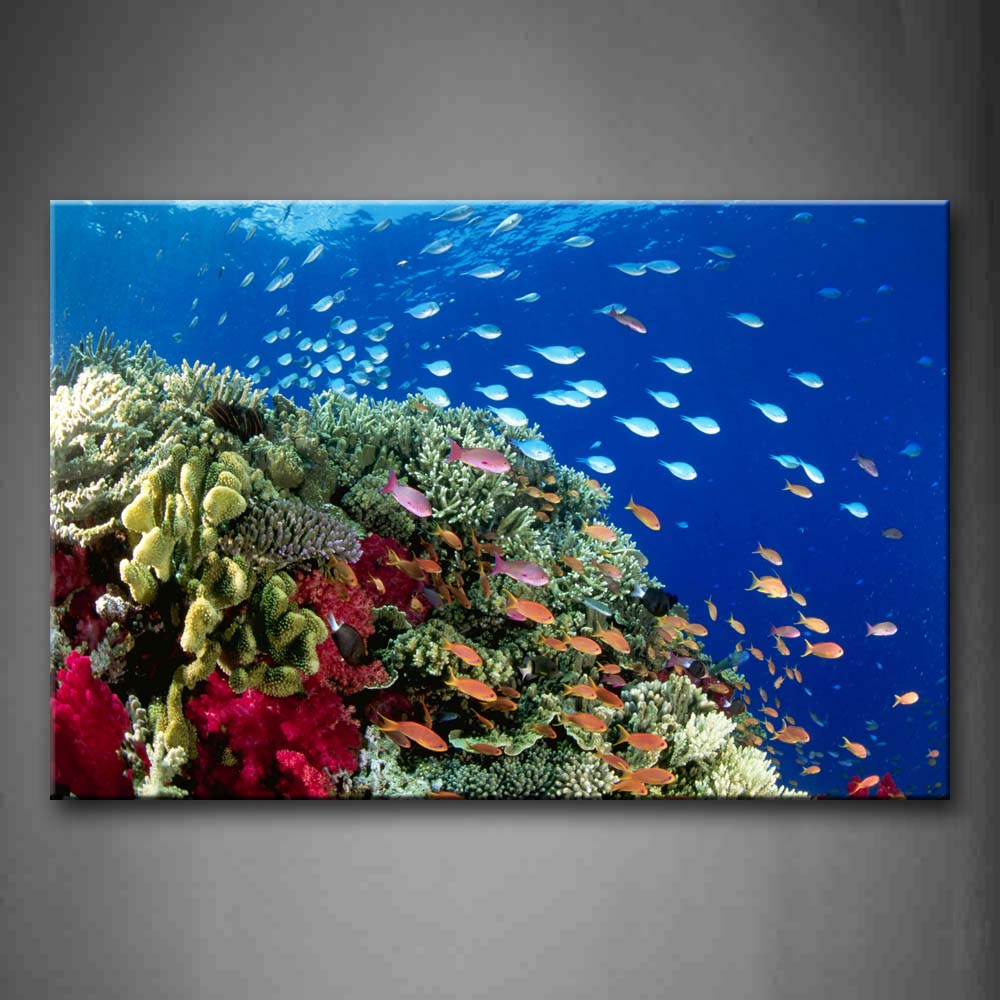 Blue The Bottle Of Sea Seceny Fishs Wall Art Painting The Picture Print On Canvas Animal Pictures For Home Decor Decoration Gift 