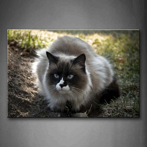 Cat Sit On Grassland Wall Art Painting Pictures Print On Canvas Animal The Picture For Home Modern Decoration 