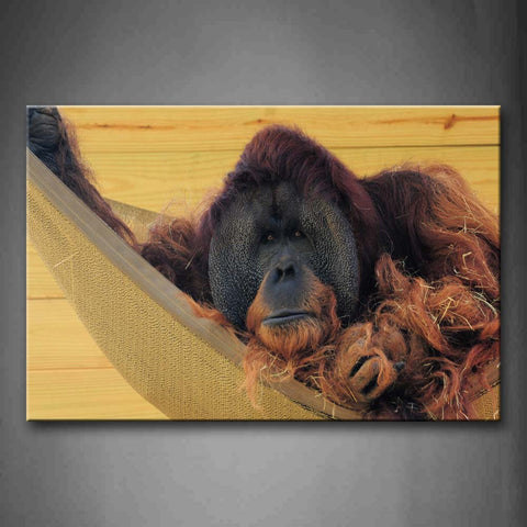 Orangutan Lie In Hammock Wall Art Painting The Picture Print On Canvas Animal Pictures For Home Decor Decoration Gift 