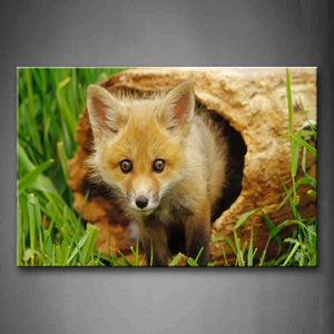 Fox In Dry Wood Green Grass Wall Art Painting Pictures Print On Canvas Animal The Picture For Home Modern Decoration 