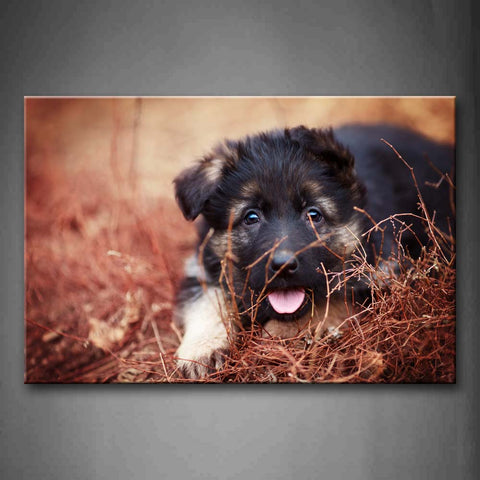 Puppy Sit On Dry Grassland Wall Art Painting The Picture Print On Canvas Animal Pictures For Home Decor Decoration Gift 