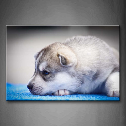 Dog Bend Over On Blue Blanket Wall Art Painting Pictures Print On Canvas Animal The Picture For Home Modern Decoration 