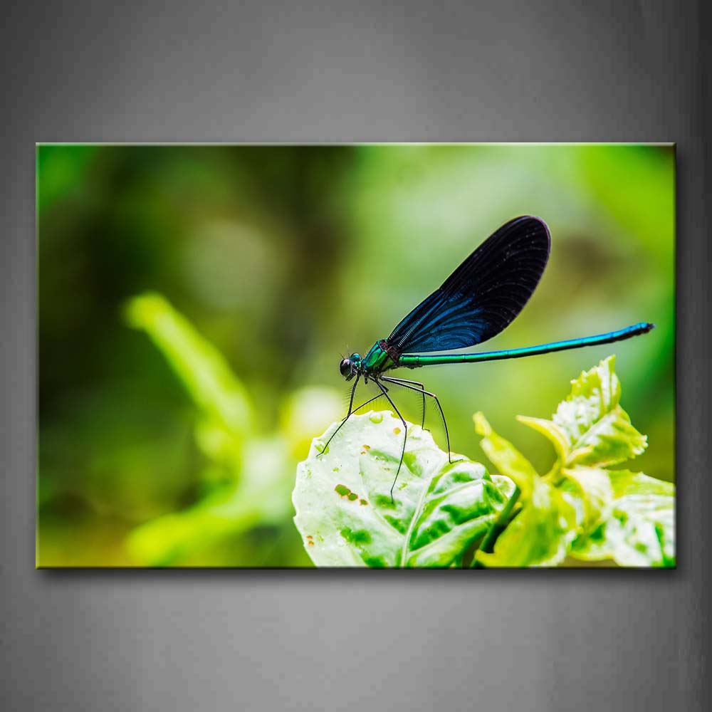 Dragonfly Stand On Green Leaf Wall Art Painting Pictures Print On Canvas Animal The Picture For Home Modern Decoration 