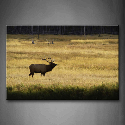 Deer Stand On Yellow Grassland Wall Art Painting The Picture Print On Canvas Animal Pictures For Home Decor Decoration Gift 