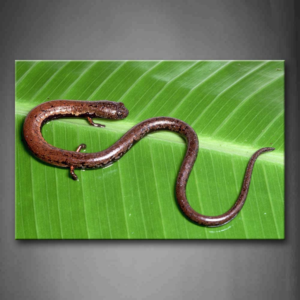 Salamander Crawl On Green Leaf Wall Art Painting The Picture Print On Canvas Animal Pictures For Home Decor Decoration Gift 