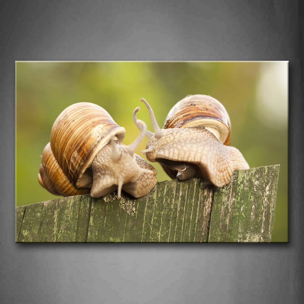 Snail Crawl On Wood Wall Art Painting Pictures Print On Canvas Animal The Picture For Home Modern Decoration 