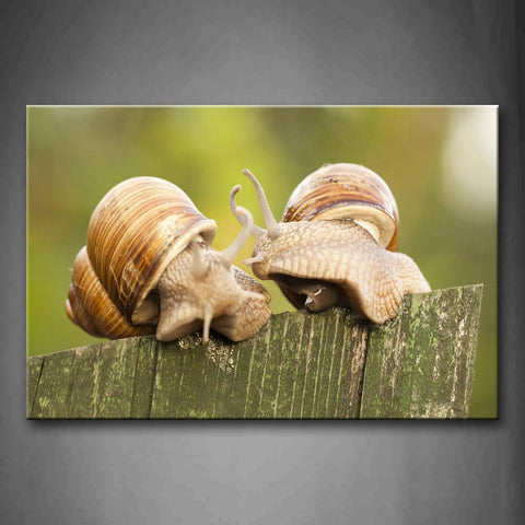 Snail Crawl On Wood Wall Art Painting Pictures Print On Canvas Animal The Picture For Home Modern Decoration 