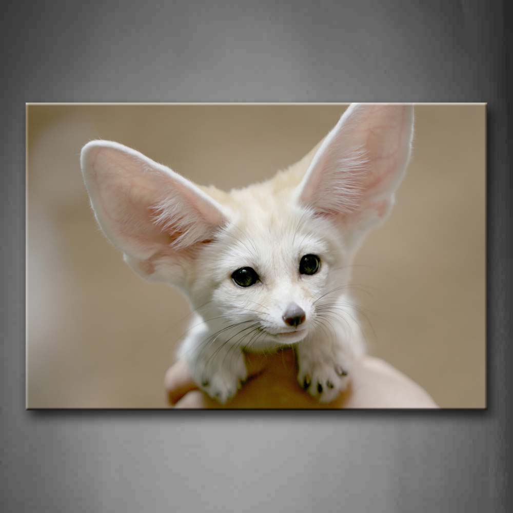 White Fennec Fox  Wall Art Painting The Picture Print On Canvas Animal Pictures For Home Decor Decoration Gift 