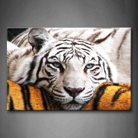 White Tiger Bend Over On Yellow Tiger Wall Art Painting Pictures Print On Canvas Animal The Picture For Home Modern Decoration 