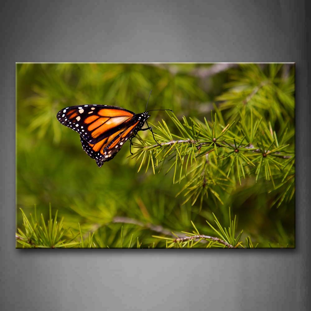 Butterfly Stand On Green Branch Wall Art Painting The Picture Print On Canvas Animal Pictures For Home Decor Decoration Gift 