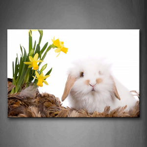 White Rabbit Sit On Brown Feather And Near Flower Wall Art Painting Pictures Print On Canvas Animal The Picture For Home Modern Decoration 