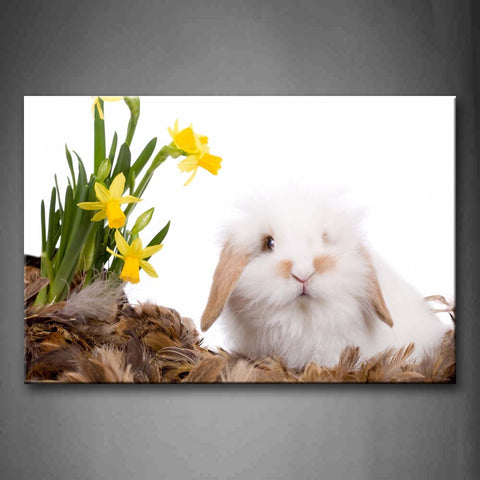 White Rabbit Sit On Brown Feather And Near Flower Wall Art Painting Pictures Print On Canvas Animal The Picture For Home Modern Decoration 