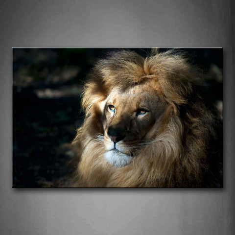 Lion Stare At Front  Wall Art Painting The Picture Print On Canvas Animal Pictures For Home Decor Decoration Gift 