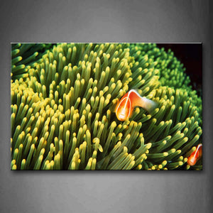 Two Orange Fishs Over Coral Wall Art Painting Pictures Print On Canvas Animal The Picture For Home Modern Decoration 