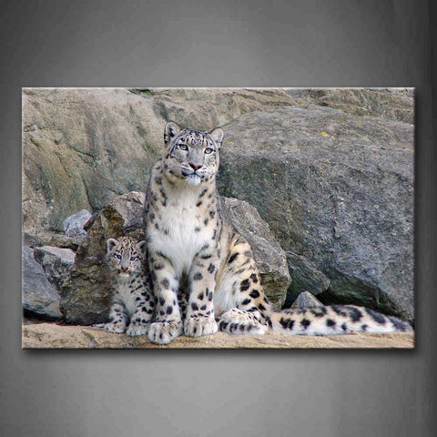 Snow Leopard Sit On Sand And Back To Rocks Wall Art Painting The Picture Print On Canvas Animal Pictures For Home Decor Decoration Gift 