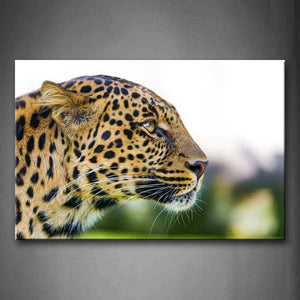 Leopard Head  Wall Art Painting Pictures Print On Canvas Animal The Picture For Home Modern Decoration 