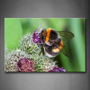 Bee Is Gather Honey Wall Art Painting Pictures Print On Canvas Animal The Picture For Home Modern Decoration 