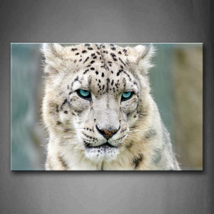 Snow Leopard Head  Wall Art Painting The Picture Print On Canvas Animal Pictures For Home Decor Decoration Gift 