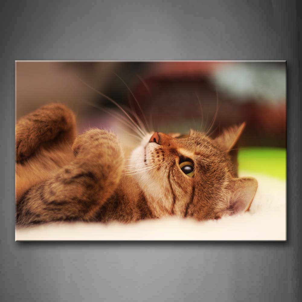 Brown Cat Lie In Blanket Wall Art Painting Pictures Print On Canvas Animal The Picture For Home Modern Decoration 