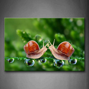 Two Snails Crawl On Grass Drop Of Water Wall Art Painting Pictures Print On Canvas Animal The Picture For Home Modern Decoration 